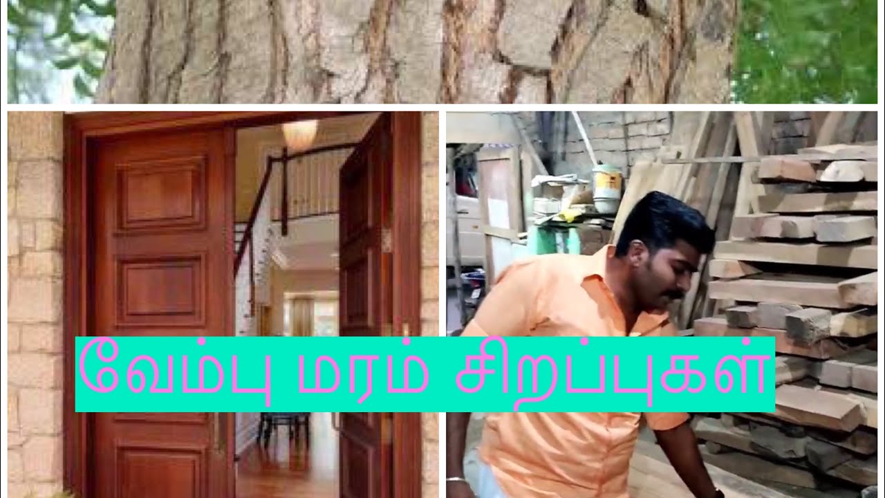 வேம்பு மரம் சிறப்புகள் #sigatv