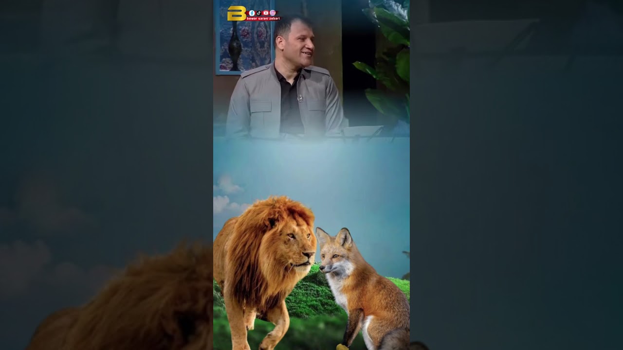سه رهاتيا شئري دگه ل ريفي