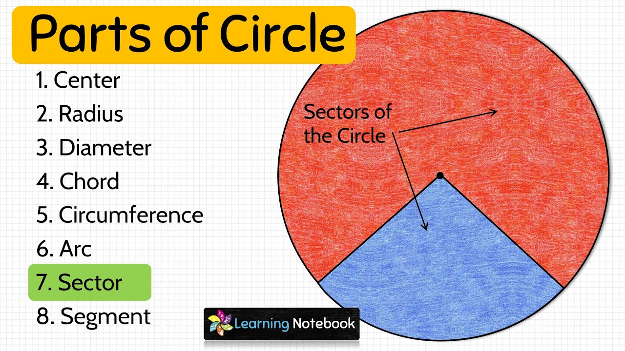 Parts of Circle | Center Radius Diameter Chord Circumference Arc Sector Segment
