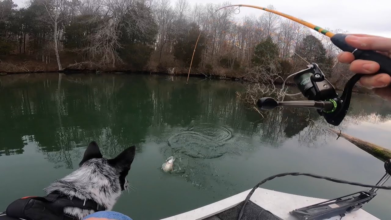 This One Spot Was FULL OF CRAPPIE! Check Out This Nonstop Fishing Video Out On Clinch River, TN