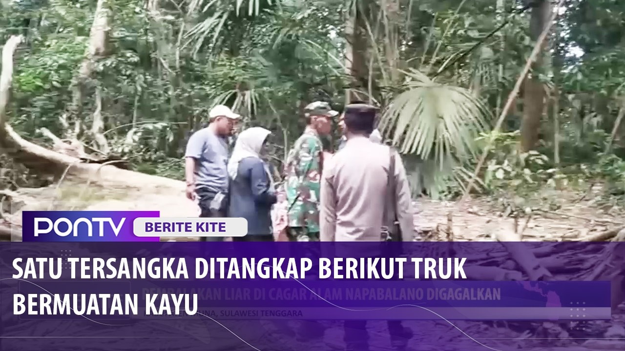 Pembalakan Liar di Cagar Alam Napabalano Digagalkan