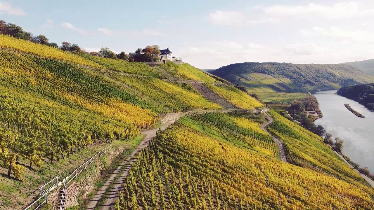 Indian Summer in Pünderich an der Mosel