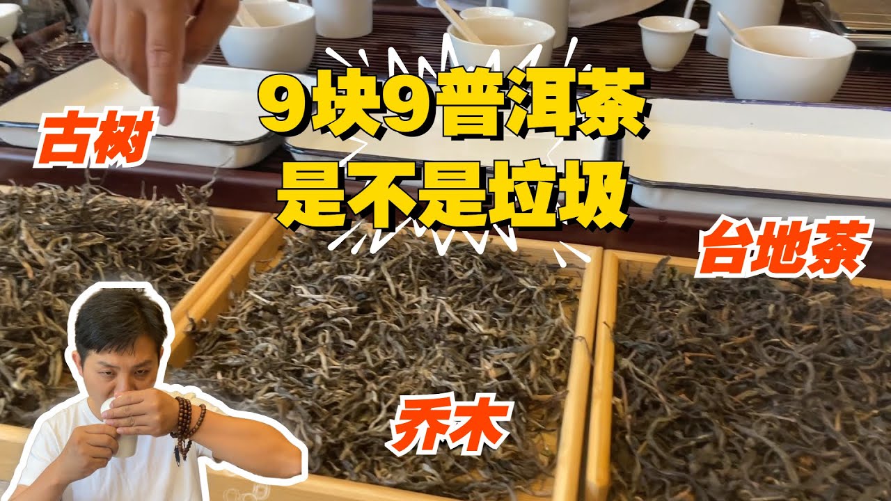 9块9的普洱茶是不是垃圾？这次老高给你答案，专门挑选三种茶进行比较！#普洱茶 #茶文化 #老班章 #古树茶