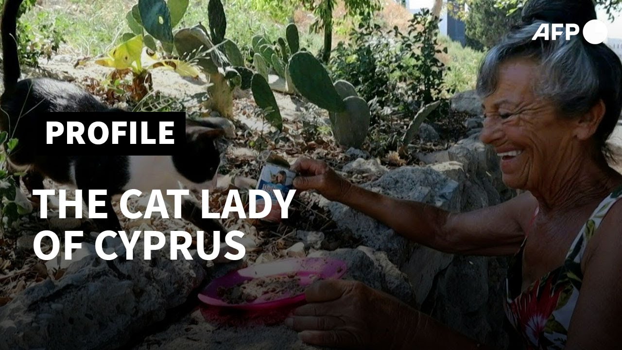 'Cat lady' of Cyprus feeds stray cats for 32 years | AFP