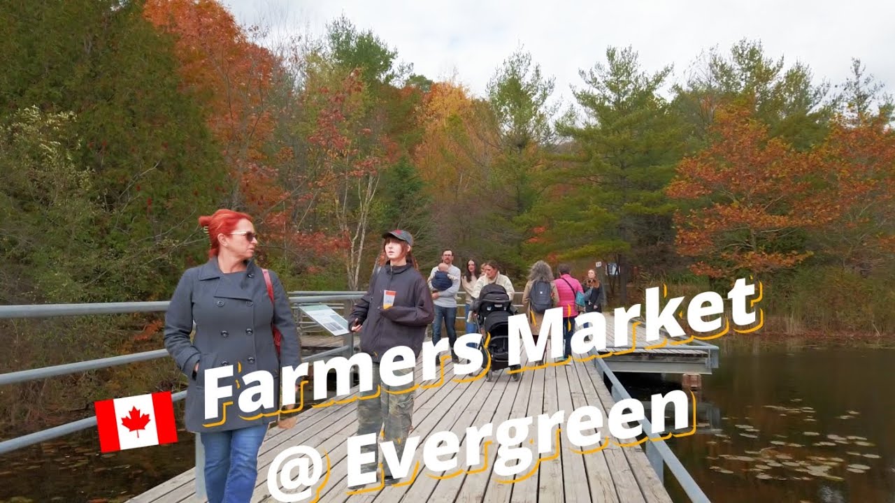 Autumn Walk at Toronto’s Brick Works Farmers Market 🍂 | Beautiful Fall Colors in Canada