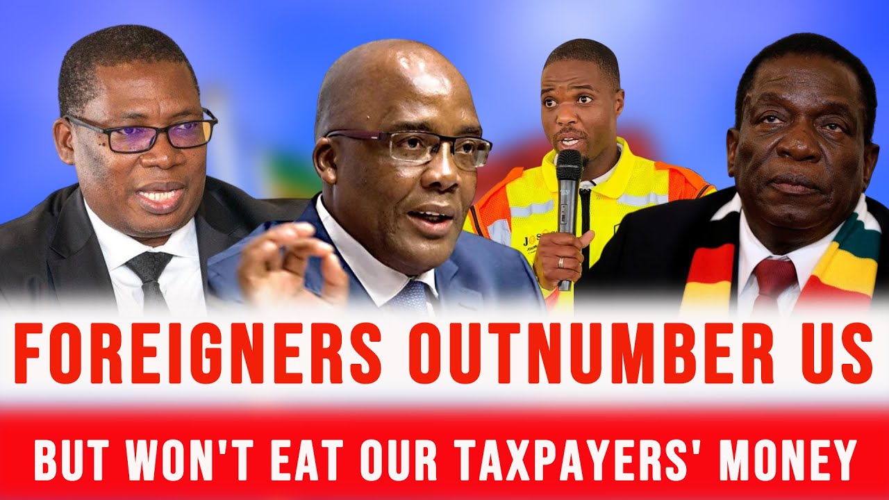 Mabaso Says No More Taxpayer Money for Foreign Nationals - They Outnumber Us But Won't Eat Our Money