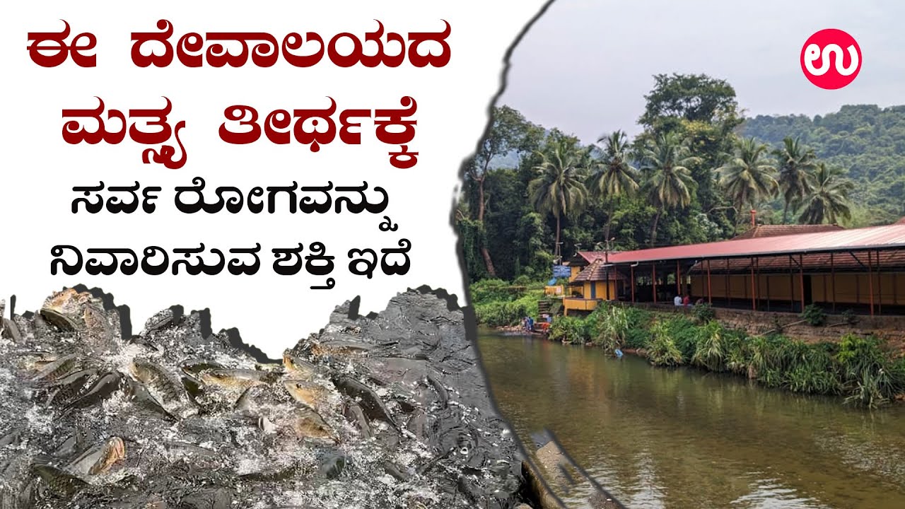 ಸರ್ವ ರೋಗ ನಿವಾರಕ ಶಿಶಿಲೇಶ್ವರನ ಸನ್ನಿಧಾನ  | Shree Shishileshwara Temple Gudi | Udayavani