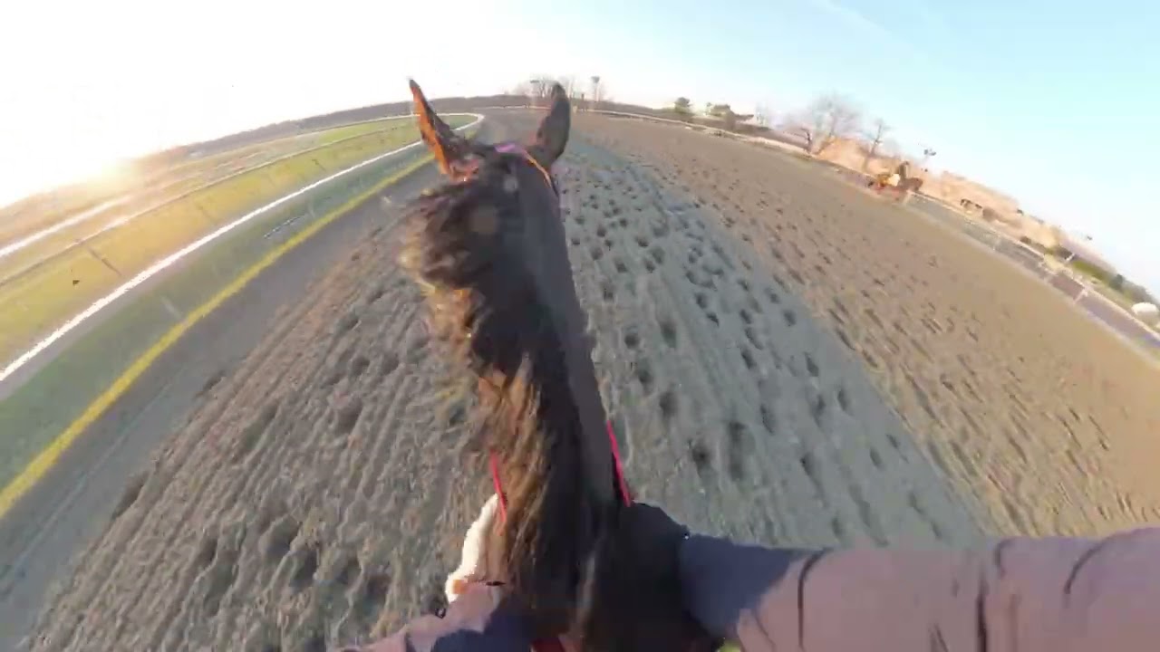 How to gallop a tough racehorse