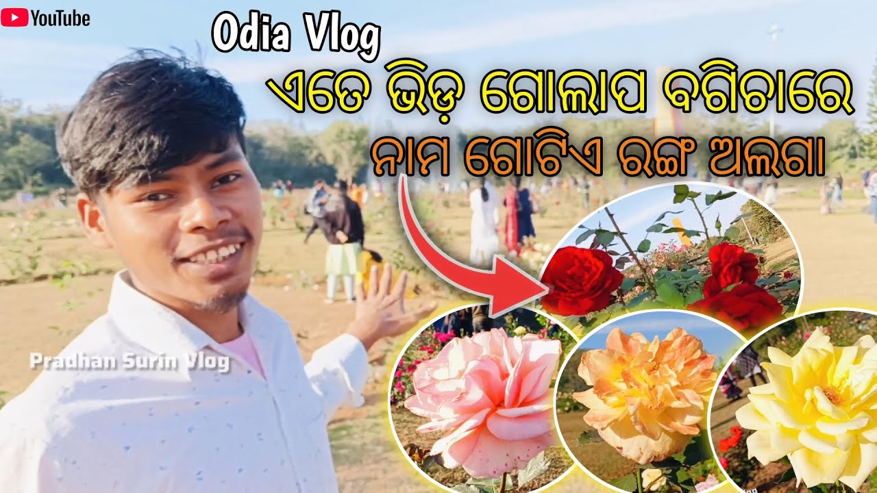 Rose 🌹 Garden In Bhubaneswar | Ekamra Rose Park | New Odia Vlog 2026 #odia #rose #rosegarden 