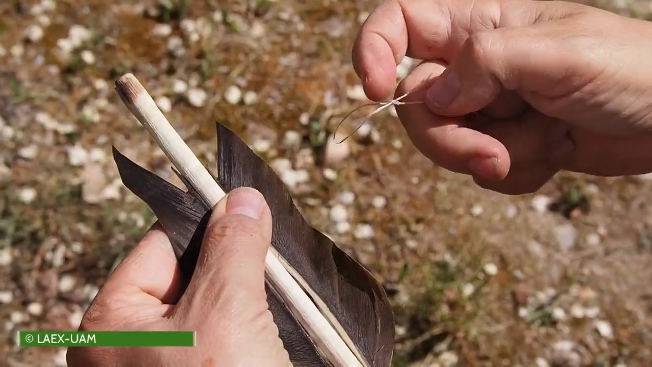 &iquest;C&oacute;mo se hac&iacute;a?: una flecha