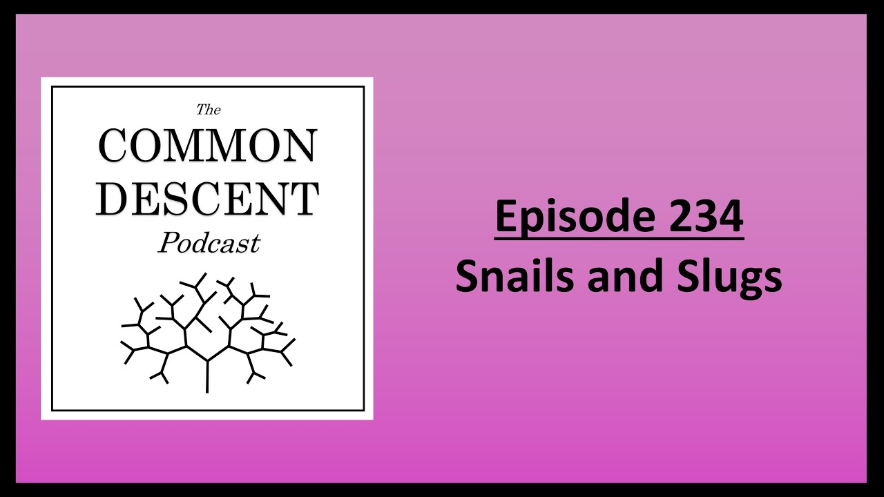 Episode 234 - Snails and Slugs