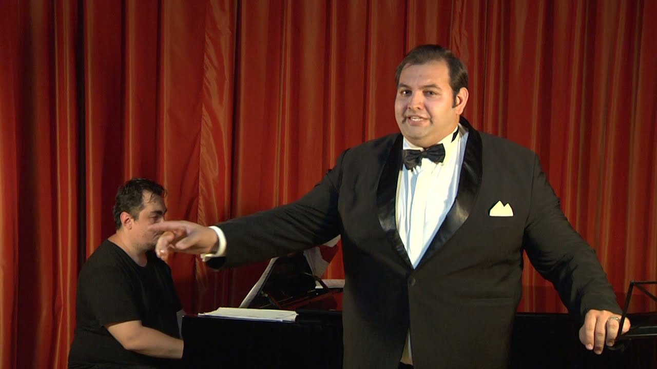 Constantin Doppler - Aria lui Don Magnifico, din ,,Cenusareasa,