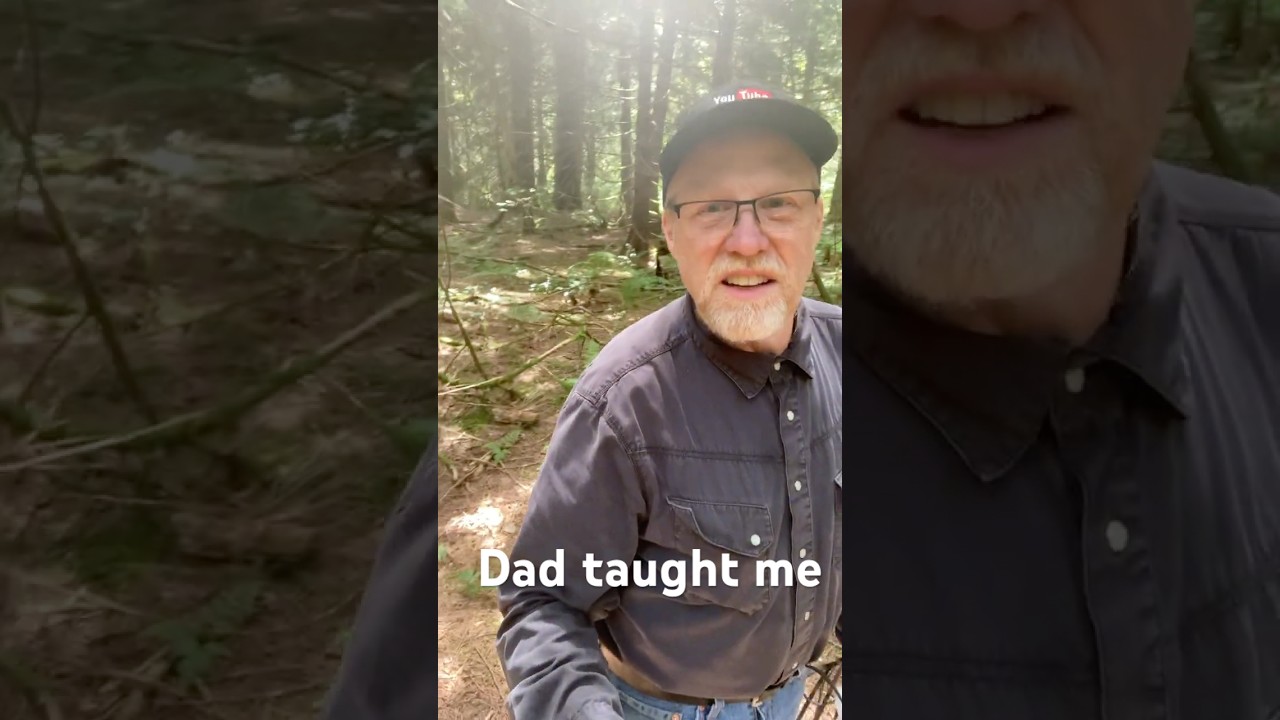 Dad Taught Me #shorts