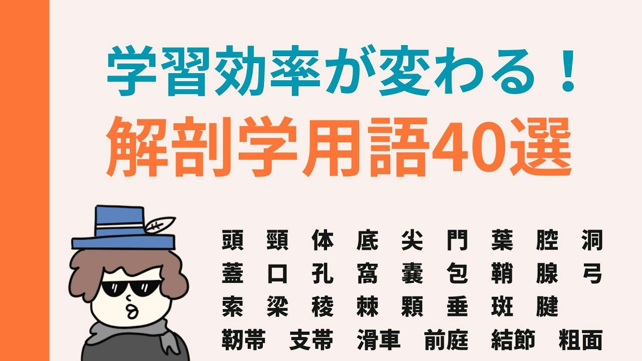 解剖学用語を効率的に覚える学習法