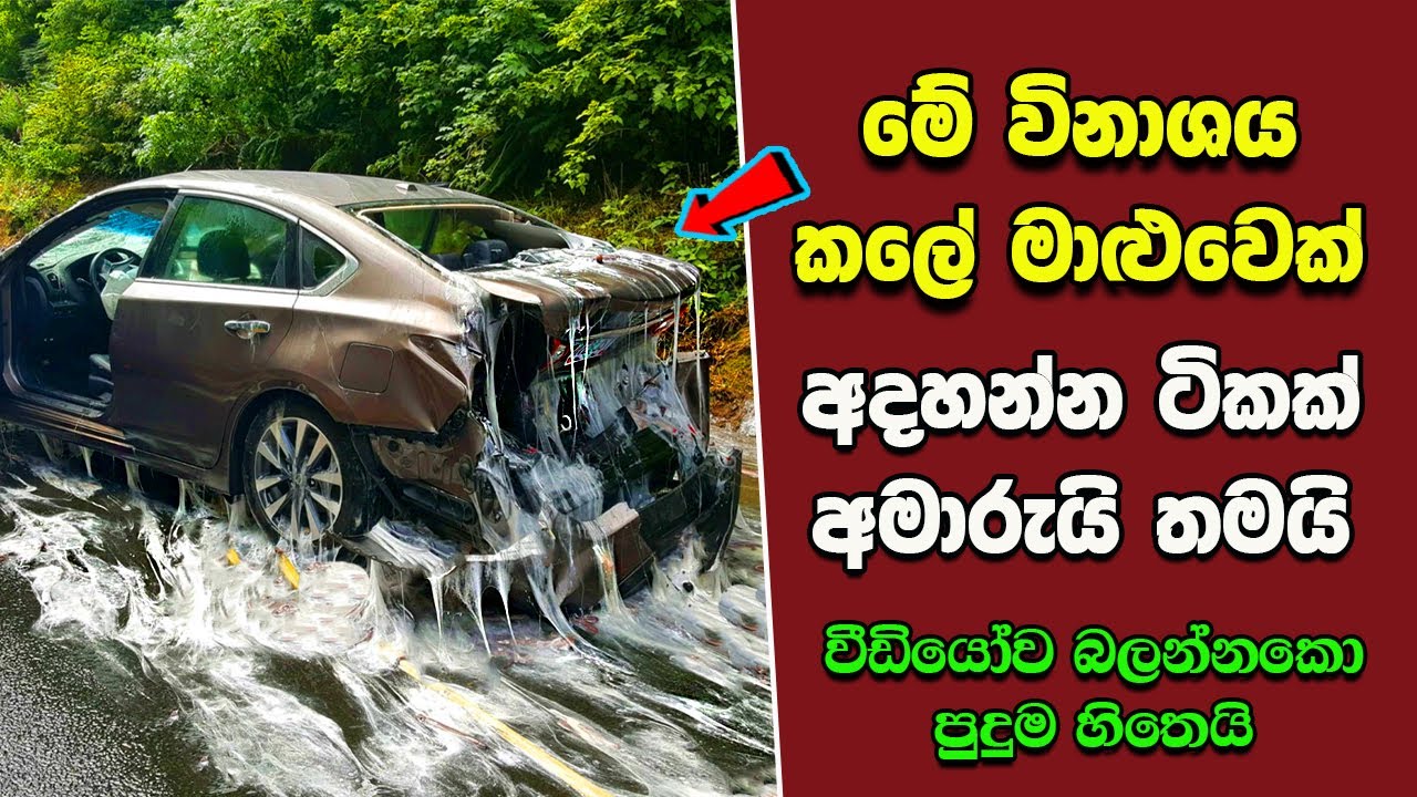 ඔබ මේවා දකින්නේ ජිවිතේ පළමු වතාවට EP:240