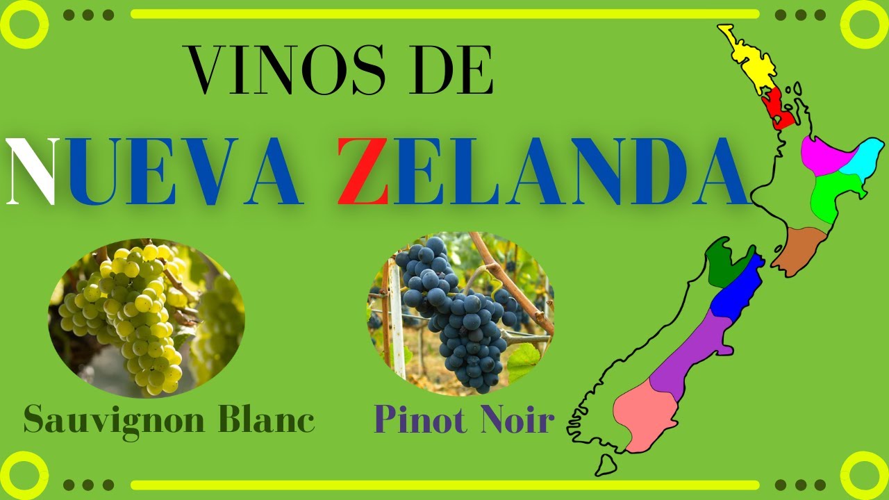 Vinos de NUEVA ZELANDA🥂 [Clima, uvas y regiones vinícolas]