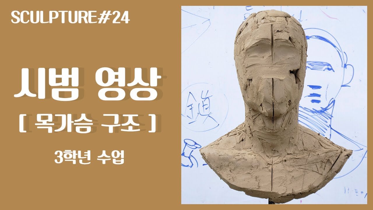 조소 Sculpture : 심화반 [ 목,가슴 구조 ]