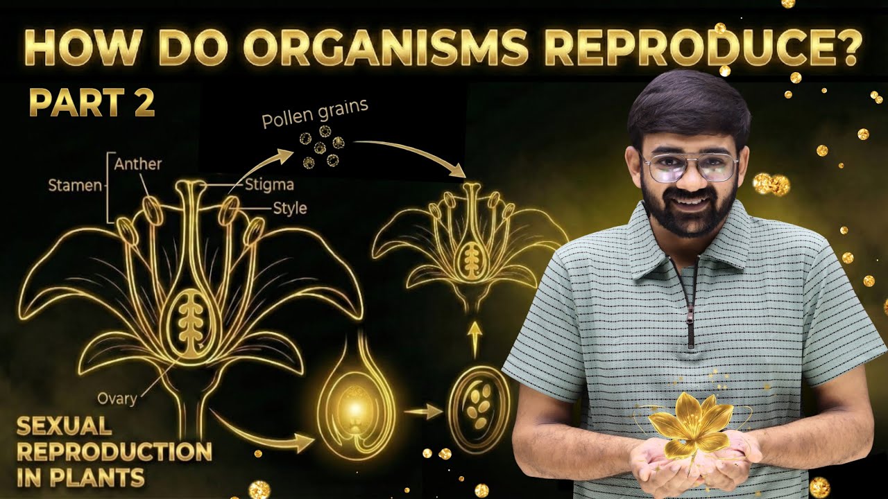 How Do Organisms Reproduce? Part 2 | Sexual Reproduction in Plants | Class 10 Biology Full Concept