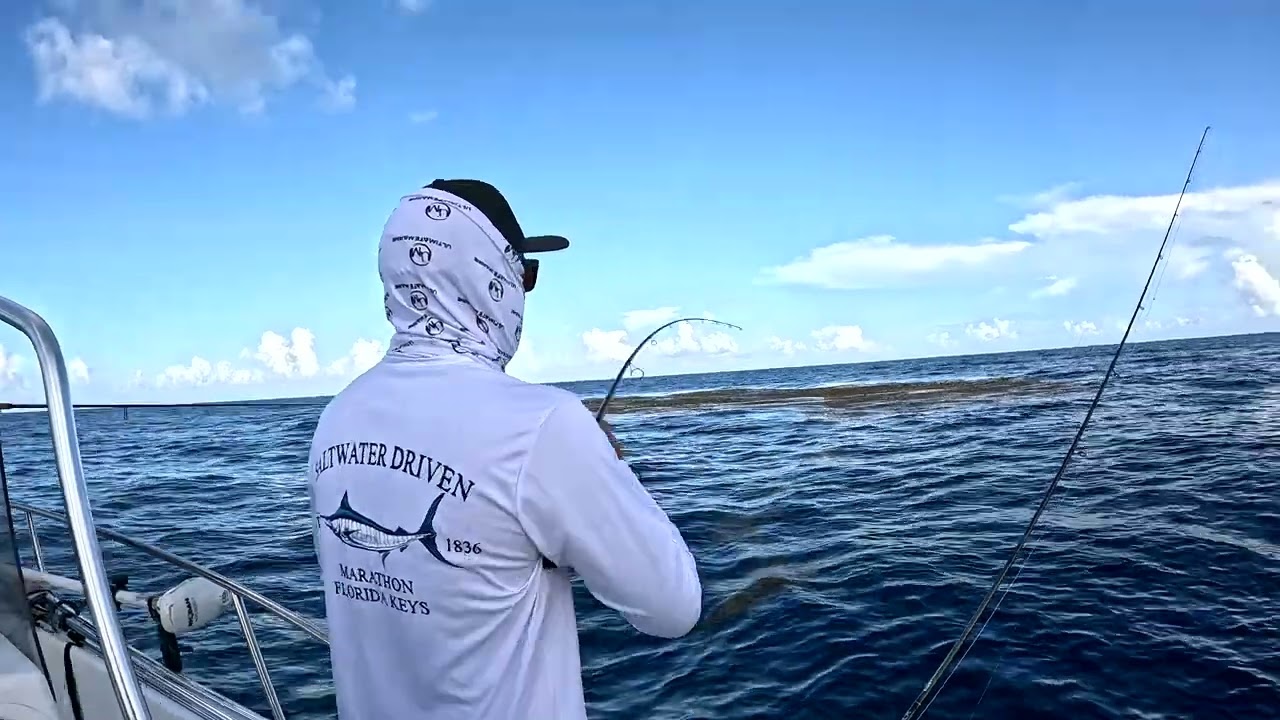 Big Pine Key Mahi Catch, Clean, Taco - 2 on 1
