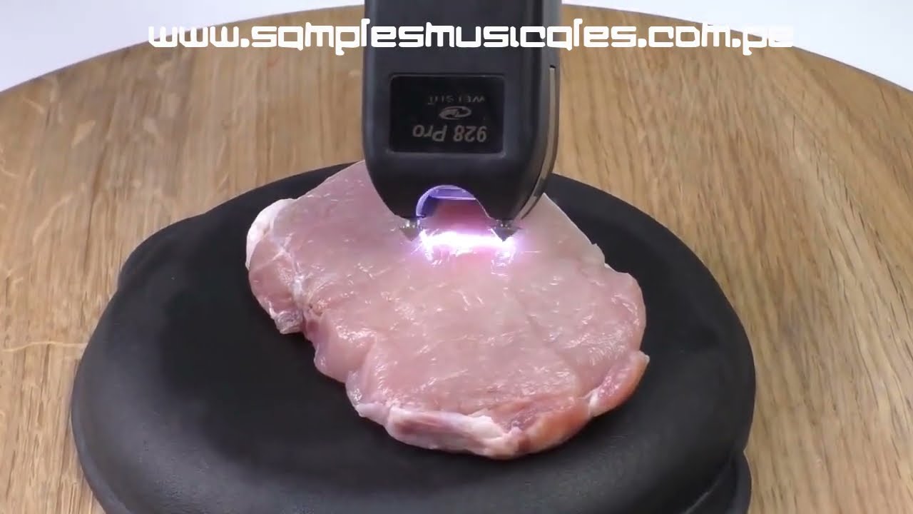 ACCESORIO DE DEFENSA PERSONAL ELECTROSHOCK TASER PARALIZADOR DESCARGA ELÉCTRICA CON LINTERNA 76346