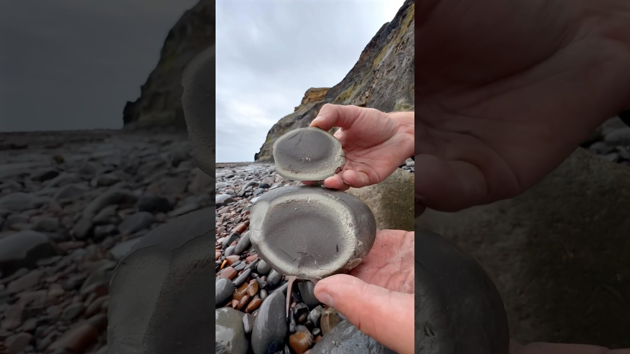 The slab was part of a huge LANDSLIDE which had revealed material perfect for fossils 😱😵&zwj;💫🦖⚒️
