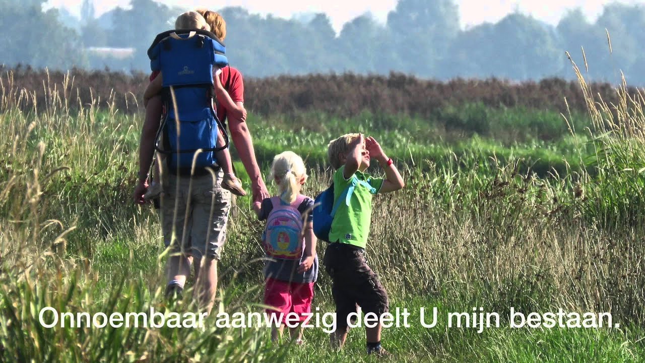Ik zal er zijn