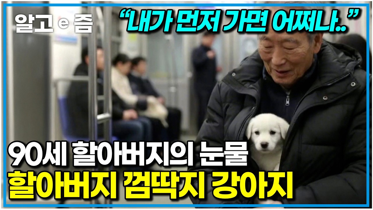 가족 없이 혼자였던 할아버지와 라면상자 속 꼬물거리던 새끼 강아지의 운명적인 만남. 90세를 앞둔 할아버지의 걱정｜세상에 나쁜 개는 없다｜알고e즘