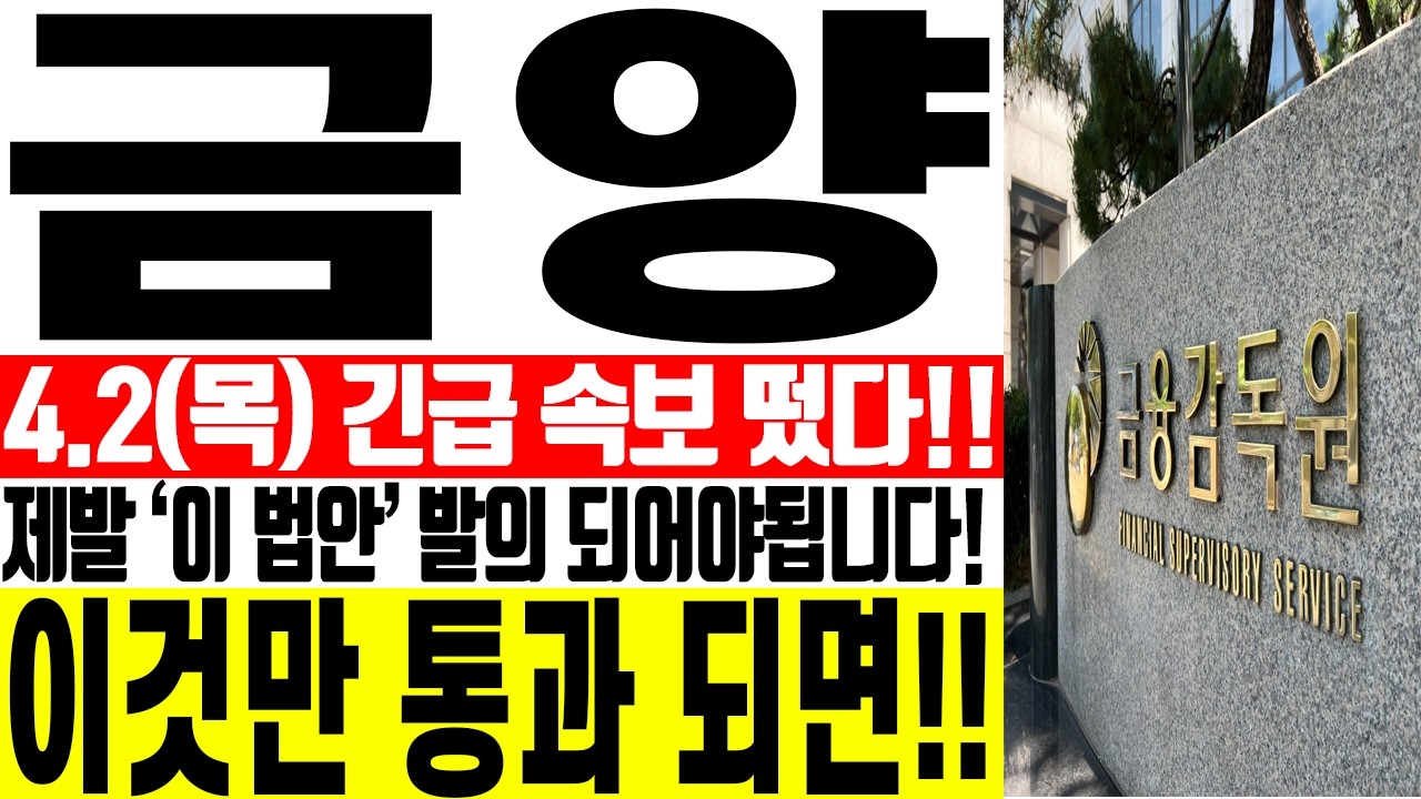 [금양 주가전망] ⚠️제발 '이 법안' 발의 되어야됩니다! 이것만 통과 되면!! | 강산 #금양 #금양주가 #금양주가전망