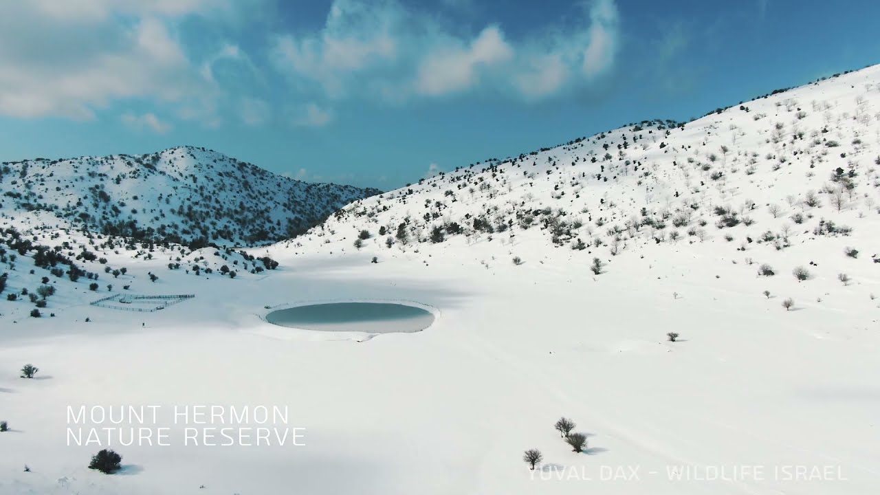 Israel landscapes