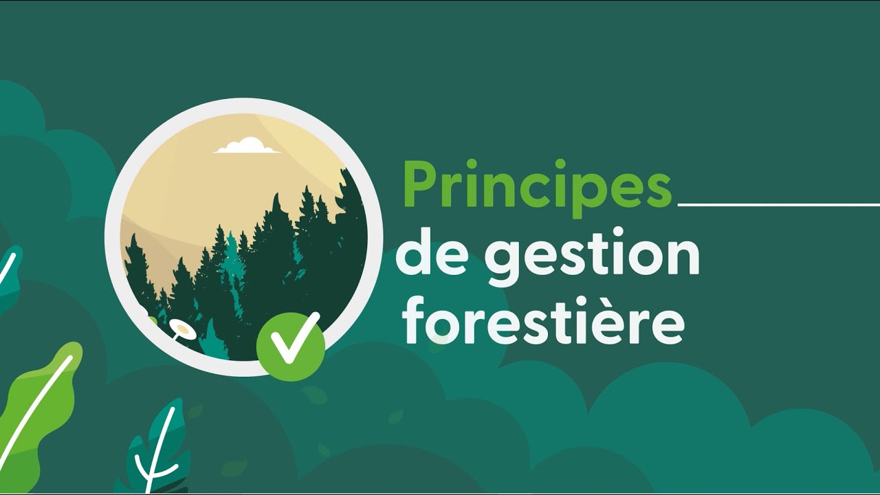 La gestion forestière responsable FSC