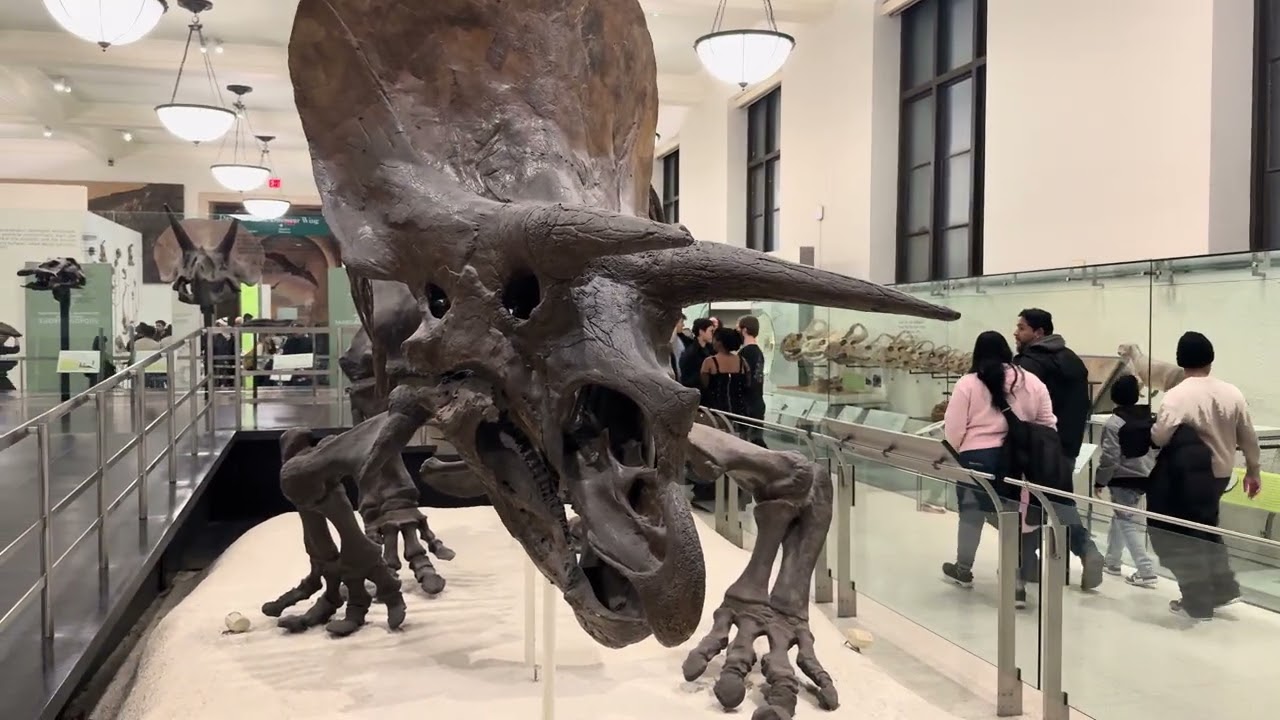 Dinosaurs at the Museum of  Natural History 12/14/25 - Video #3