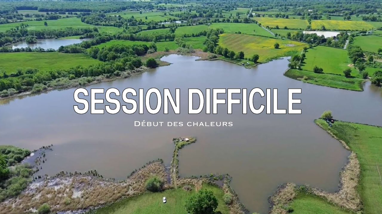 SESSION DIFFICILE, début des chaleurs...(pêche de la carpe 4K)