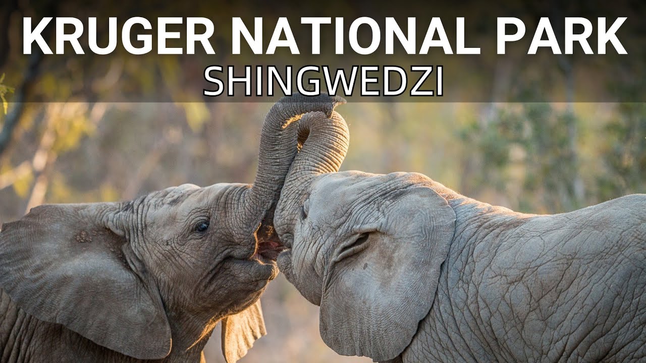 Never Alone | Kruger National Park #camping #krugernationalpark #together