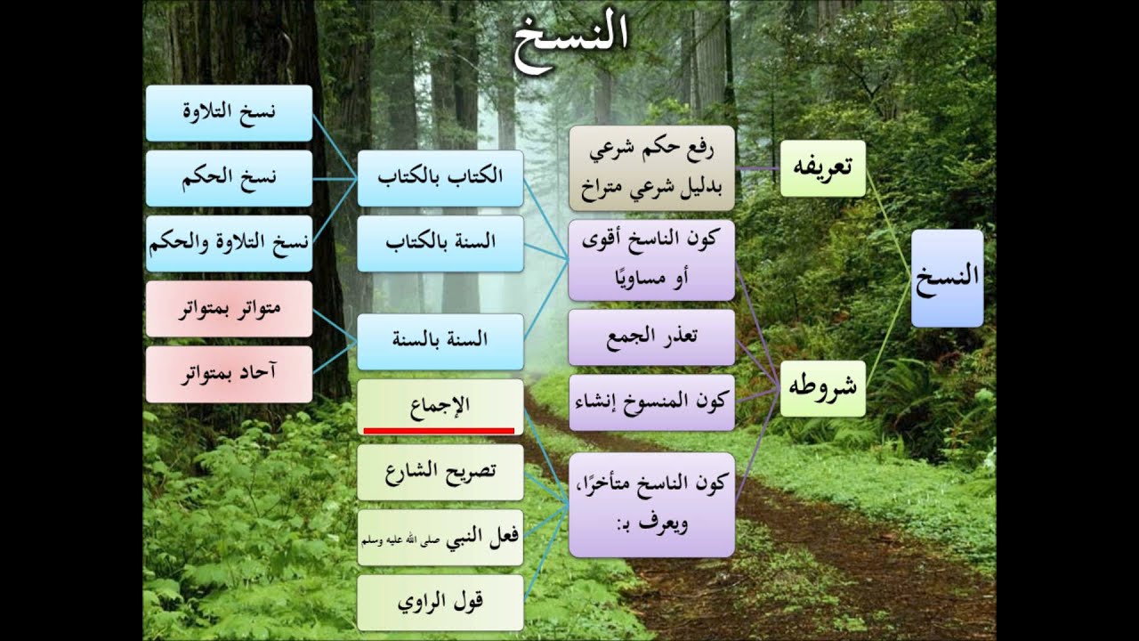 الطريق إلى علم أصول الفقه05 - النسخ- عامر بهجت