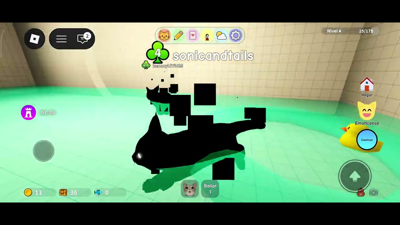 Juego:CASA DE GATITOS 