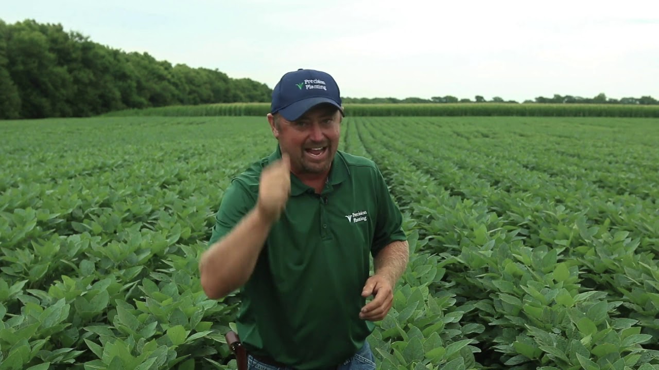 InsidePTI S1•E47 | Row Width & Seeding Rate Study