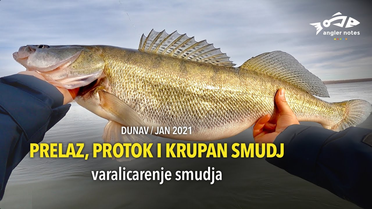 Prelaz, Protok i Krupan Smudj - Varalicarenje Smudja / Spinning Big Zander at the Danube