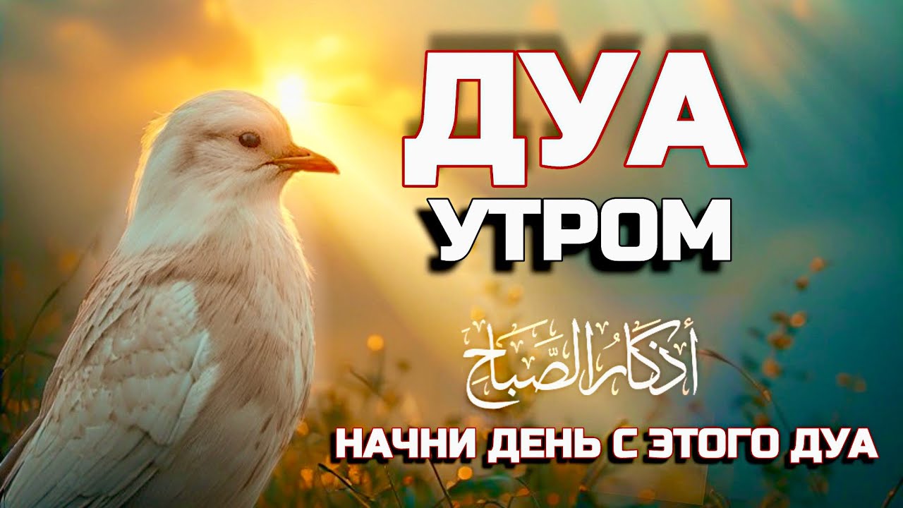 Дуа утро أذكار الصباح защитить вас вес день! Утренний дуа каждое утро!#рамадан 