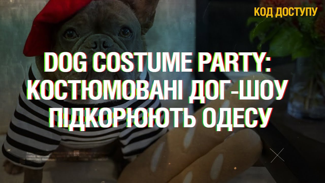 Свято для людей і собак: як костюмовані дог-шоу підкорюють Одесу