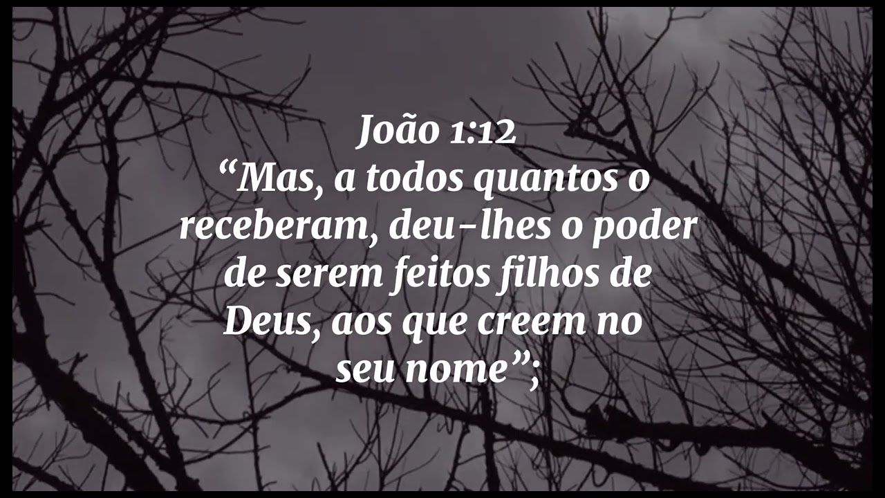 Devocional Diário -  Você crê que Jesus veio por você