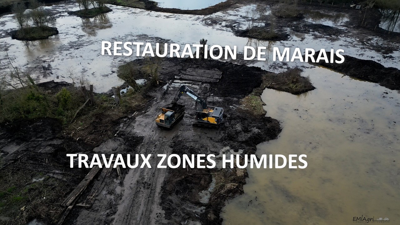 🏗️ Restauration de Zones Humides 💪
