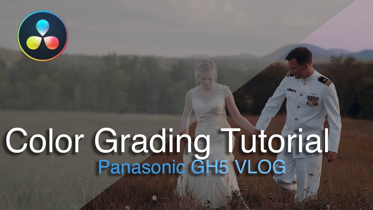 BEST way to Color Grade V-LOG from the GH5 & GH5s