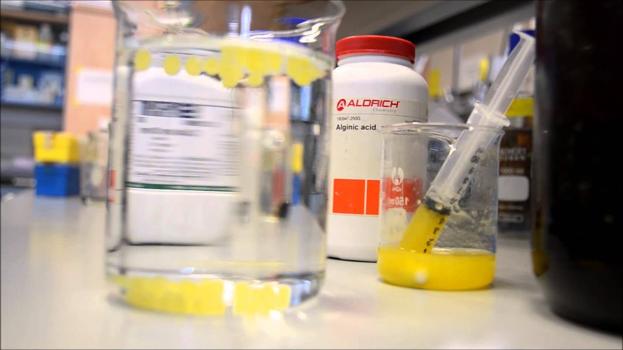 Direct and Reverse Spherification in Alginate