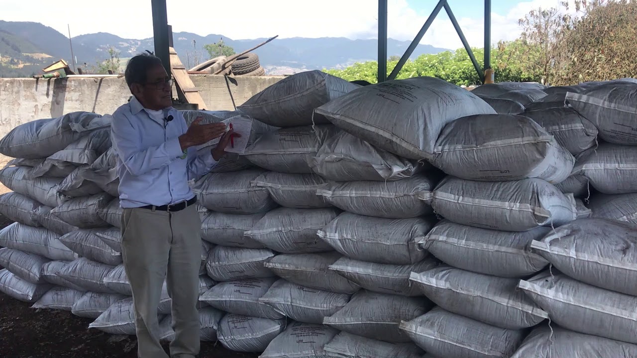 Visita de campo planta Compostaje  Parte III
