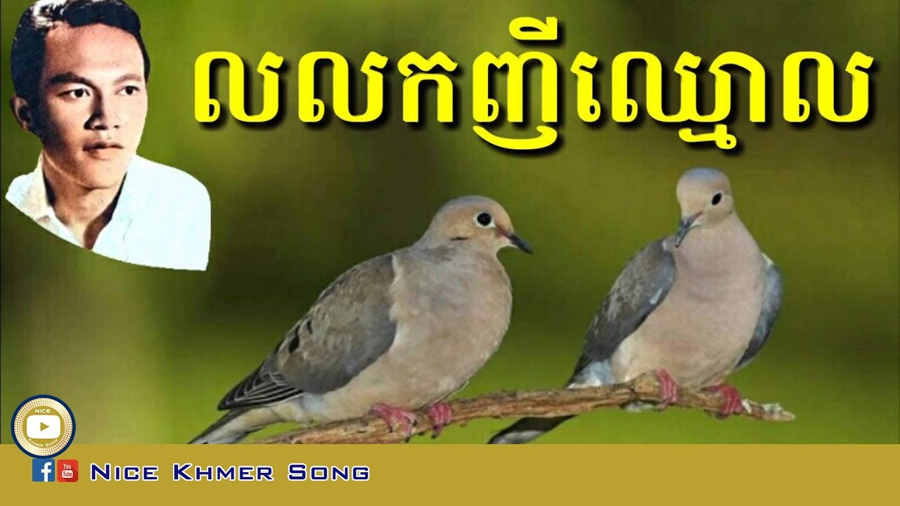 លលកញីឈ្មោល មាស ហុកសេង Lolork Nhy Chhmorl   Meas Hokseng
