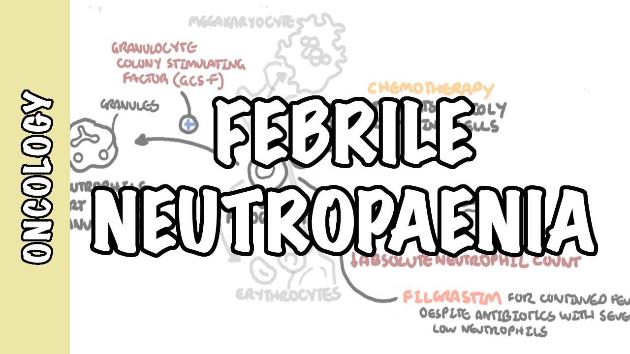 What is febrile neutropaenia (neutropenia)? - neutrophil function, pathophysiology, treatment