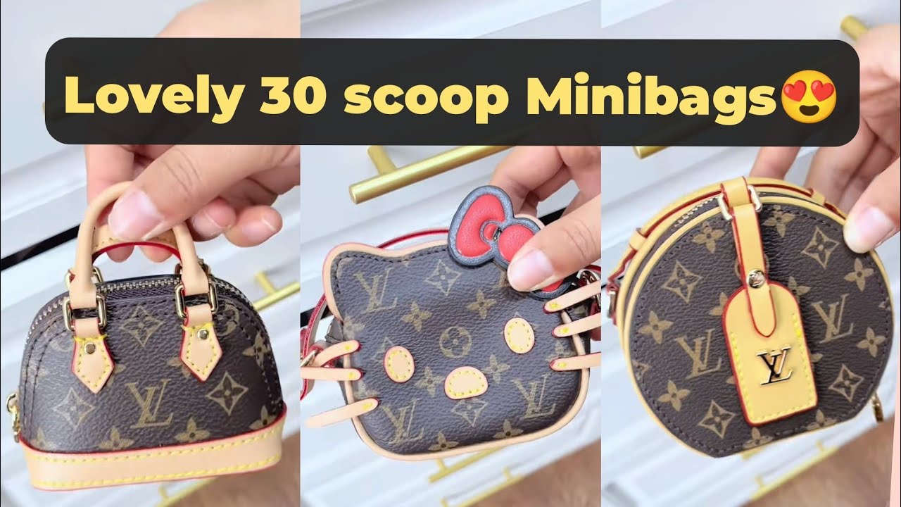 Omg😍 So cute 30 lucky scoop🤑 Mini Bags Under Budget 💰