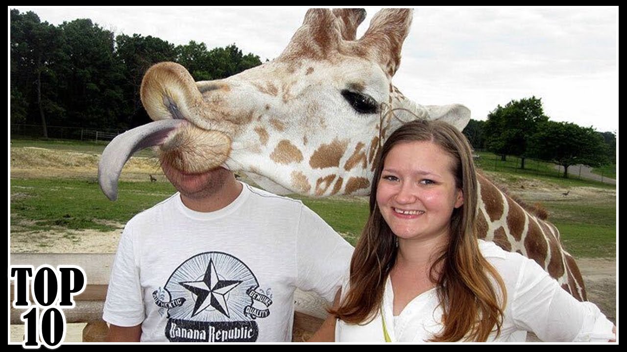 Top 10 Funny Photobombs