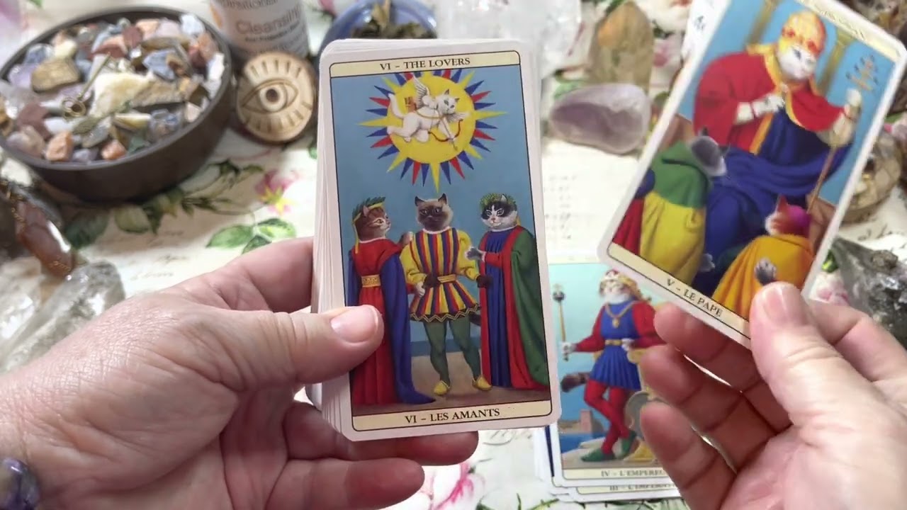 Marseille Cat Tarot Card Deck Flip Through #tarot #tarotcards #marseilletarot