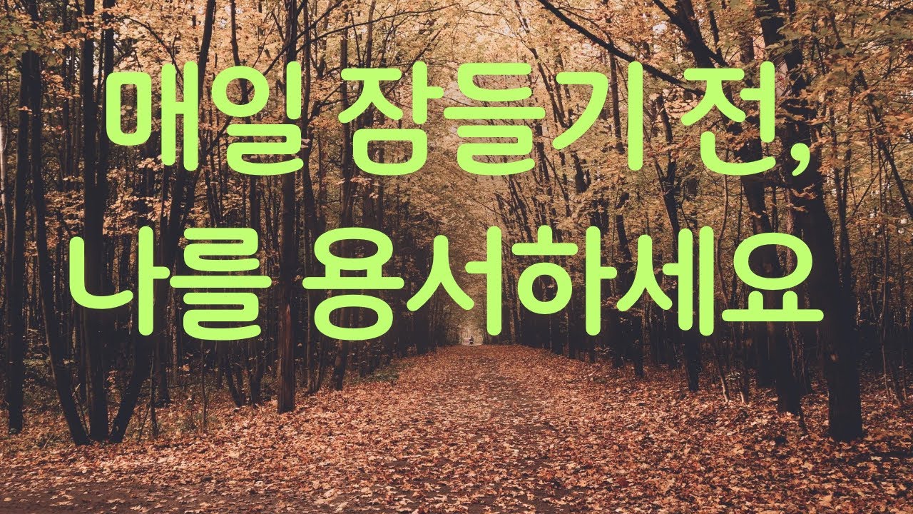 매일 잠들기 전, 나를 용서하세요 / 오은영의 화해 / 오은영 지음/ KOREA.COM